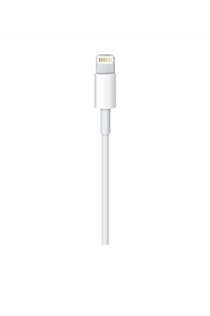 Apple Lightning to USB Cable